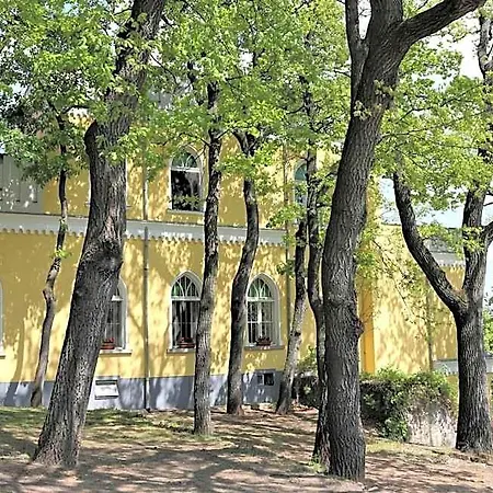 Sir David Balaton Castle Balatonszepezd