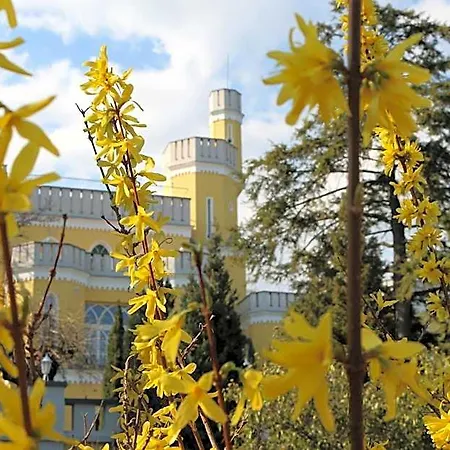 Σαλέ Sir David Balaton Castle