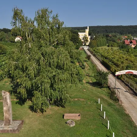 Sir David Balaton Castle